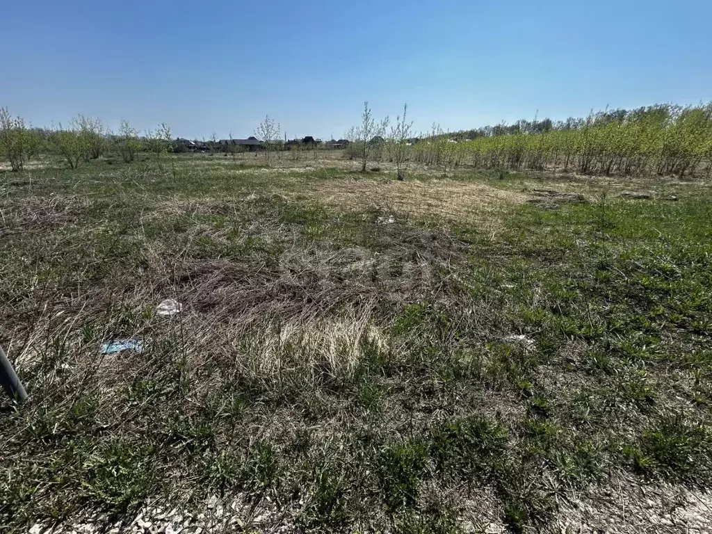 Участок в Мордовия, Саранск городской округ, Николаевка рп ул. Южная ... - Фото 2