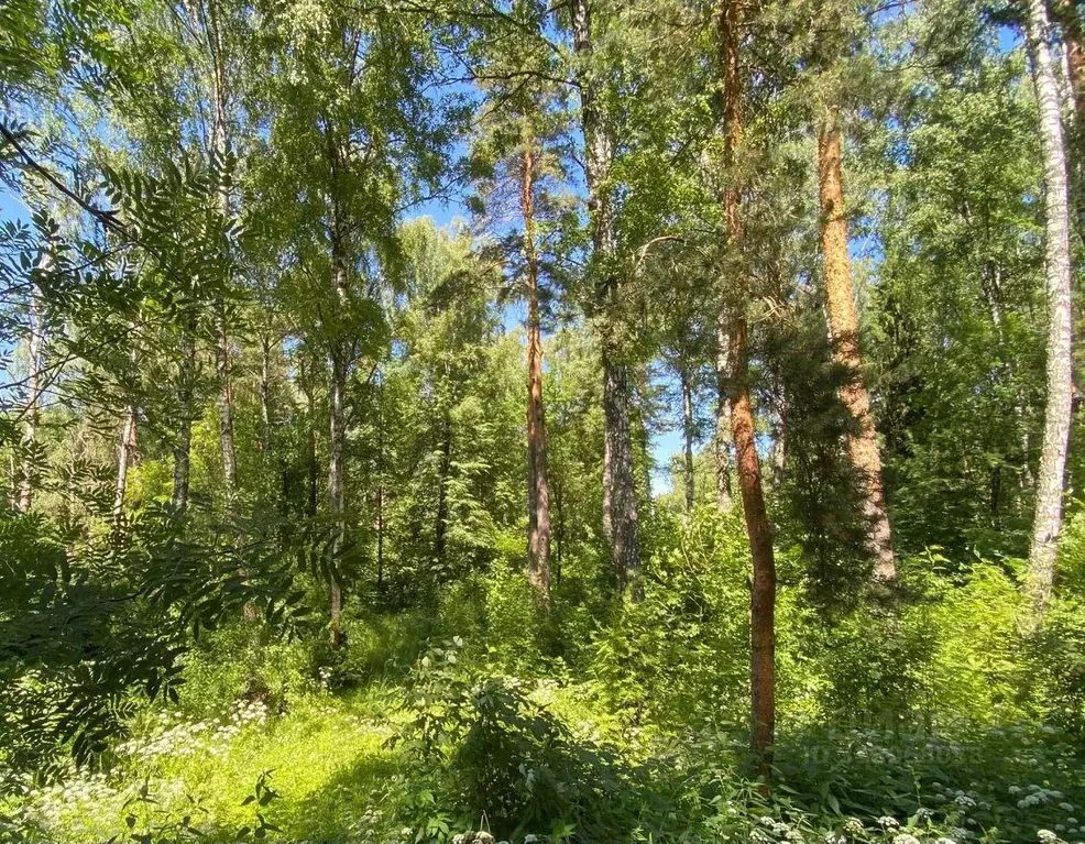 Участок, 117 сот., сельхоз (снт или днп) - Фото 0