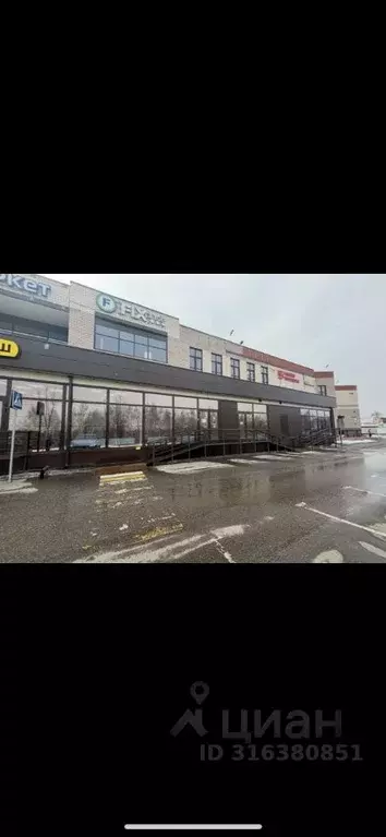 Торговая площадь в Московская область, Богородский городской округ, с. ... - Фото 1