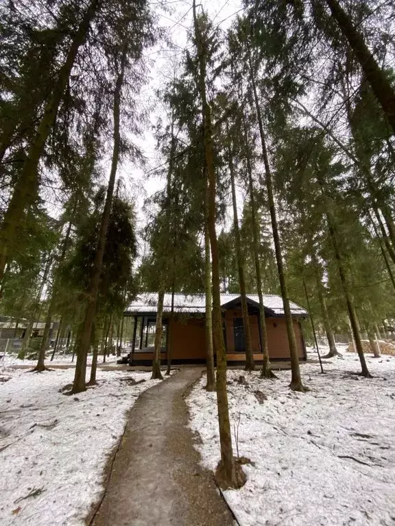 Дом в Московская область, Пушкинский городской округ, д. Могильцы, ... - Фото 1