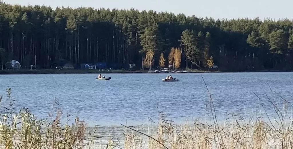 Участок в Псковская область, Печорский муниципальный округ, Лесицкое ... - Фото 1
