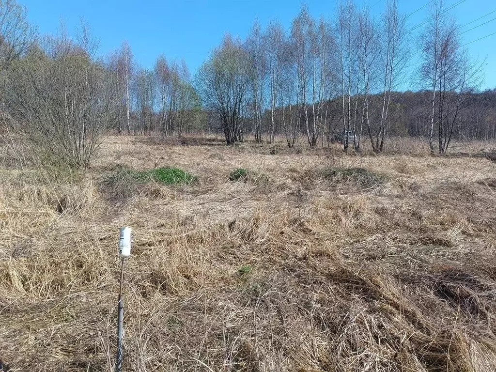 Участок в Московская область, Серпухов городской округ, д. Палихово  ... - Фото 2