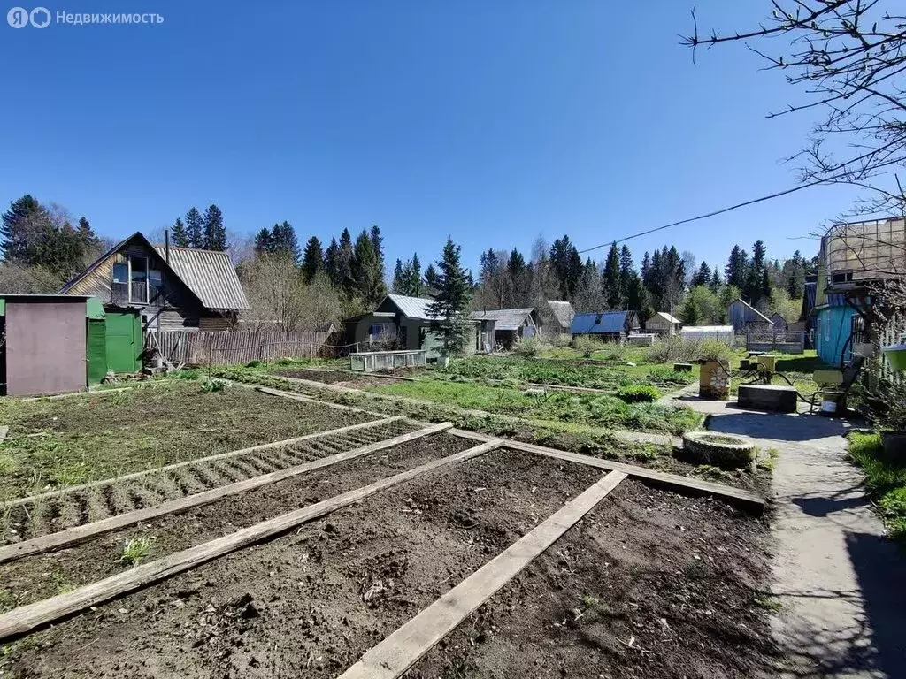 Дом в Сыктывкар, территория Дырносский, СНТ Ручеёк (30 м) - Фото 1