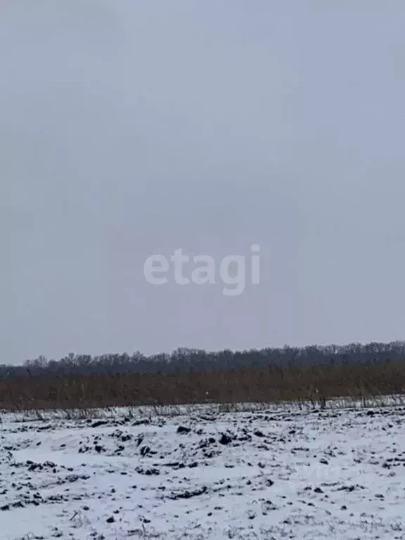 Участок в Белгородская область, Белгородский район, Головинское с/пос, ... - Фото 1