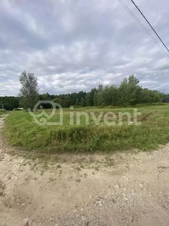 Участок в Калининградская область, Гурьевский муниципальный округ, ... - Фото 1