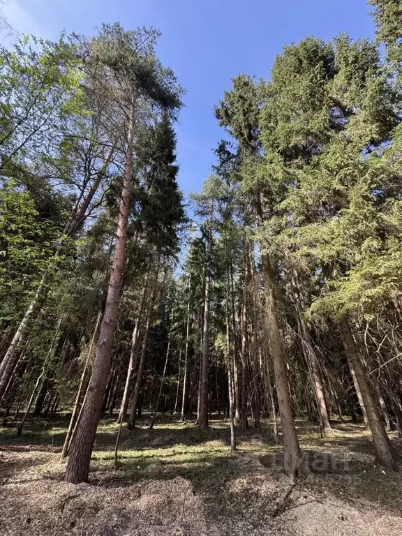 Участок в Московская область, Одинцовский городской округ, д. Маслово  ... - Фото 0
