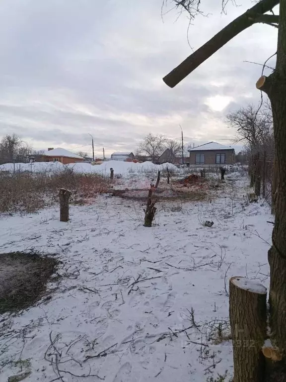 Участок в Ростовская область, Новочеркасск Айвовая ул. (6.0 сот.) - Фото 1