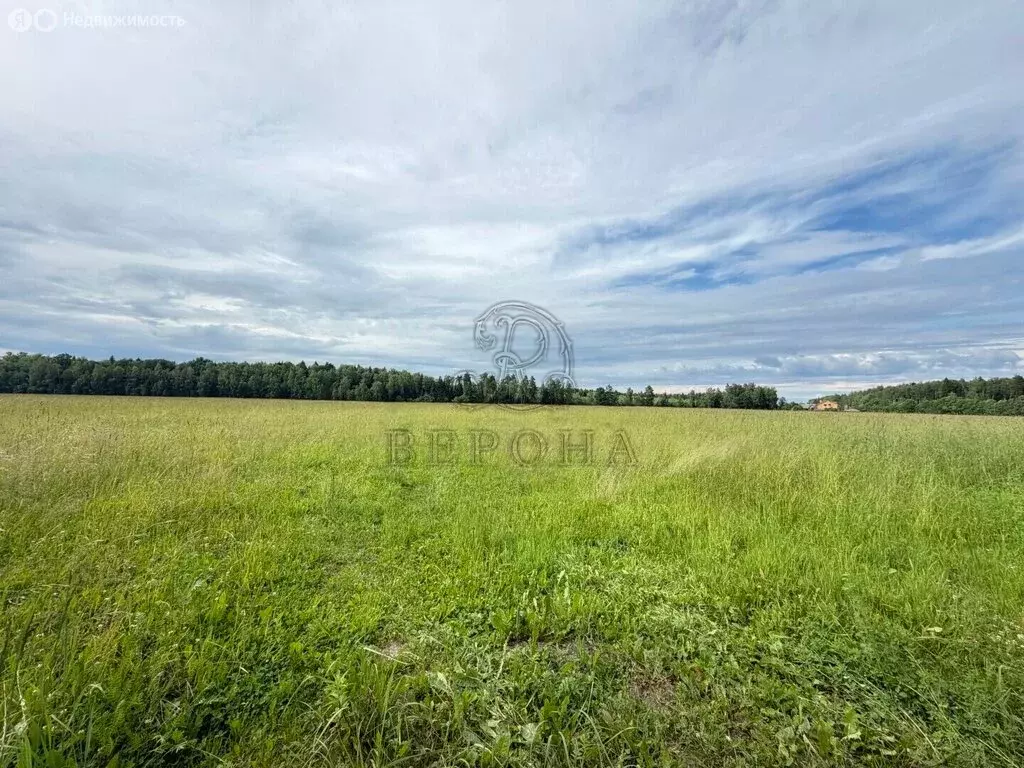 Участок в деревня Молзино (500 м) - Фото 2