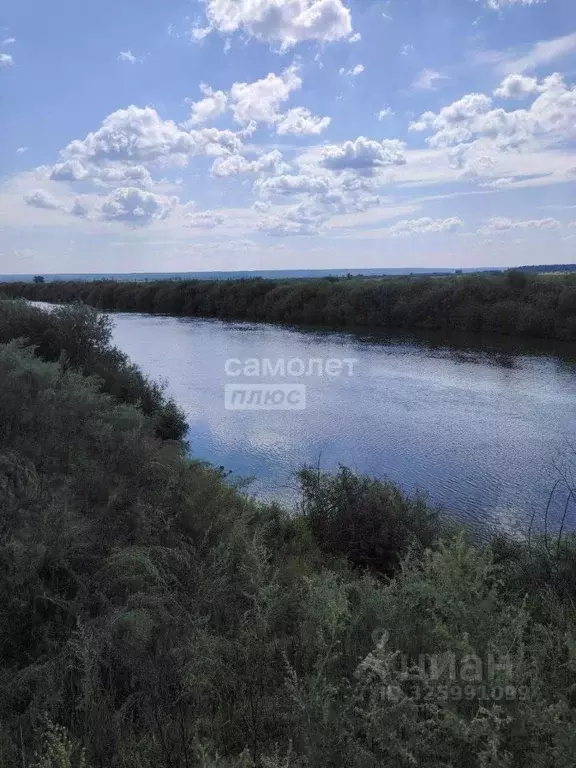 Участок в Тюменская область, Исетский муниципальный округ, д. Турушево ... - Фото 2