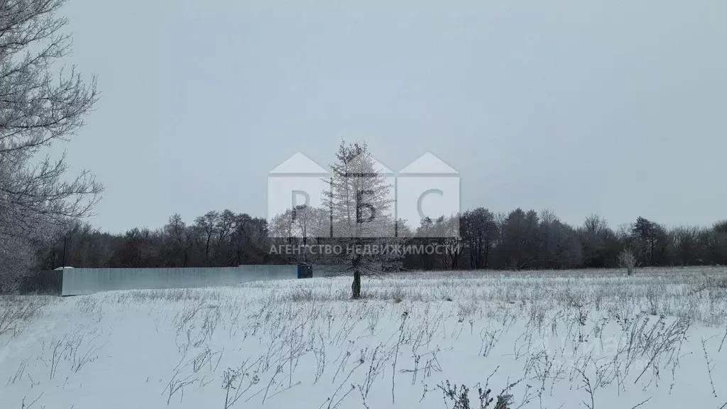 Участок в Саратовская область, с. Поповка пер. 1-й Парковый, 4А (28.0 ... - Фото 2