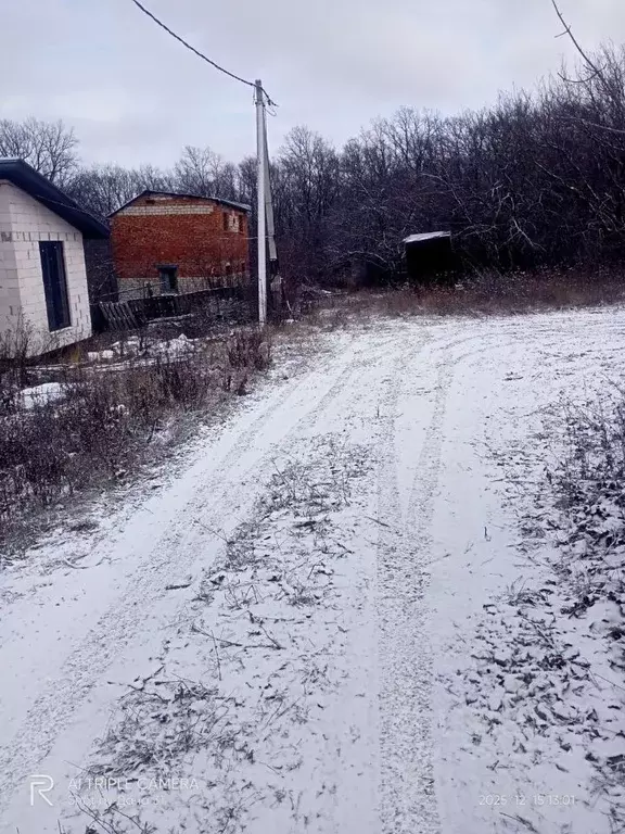 Участок в Белгородская область, Белгородский район, Тавровское с/пос, ... - Фото 2