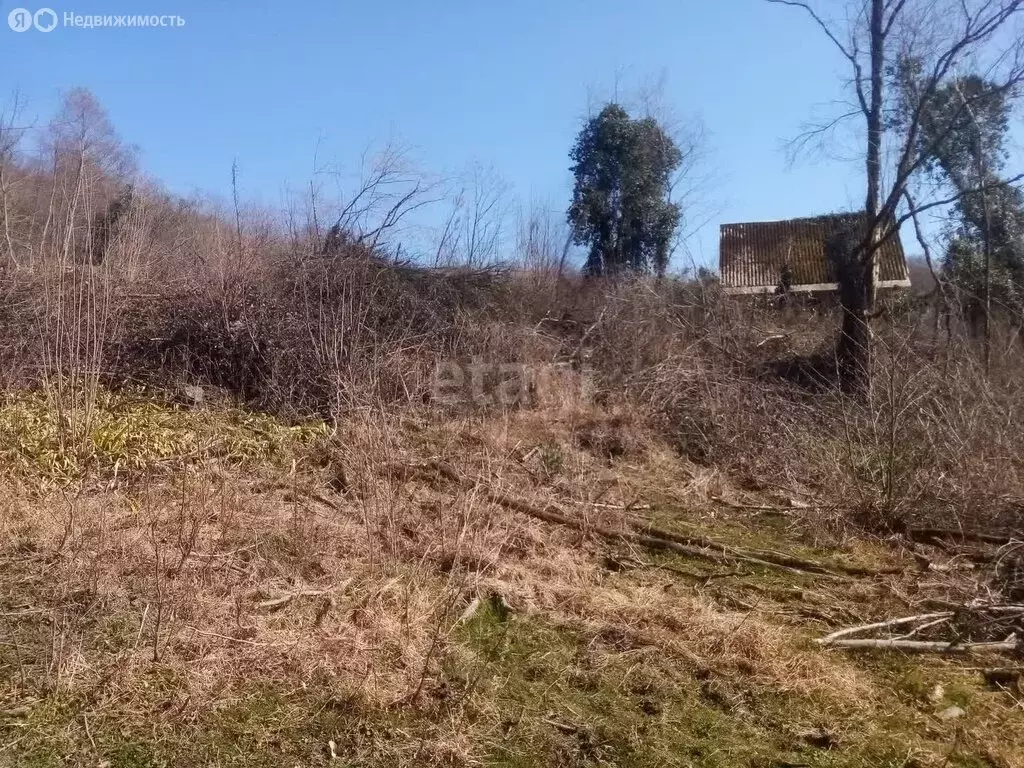 Участок в село Верхнениколаевское, садоводческое товарищество Знание ... - Фото 0