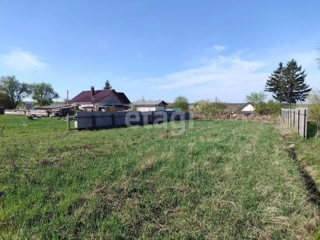 Участок в Брянская область, Жуковский муниципальный округ, пос. ... - Фото 2