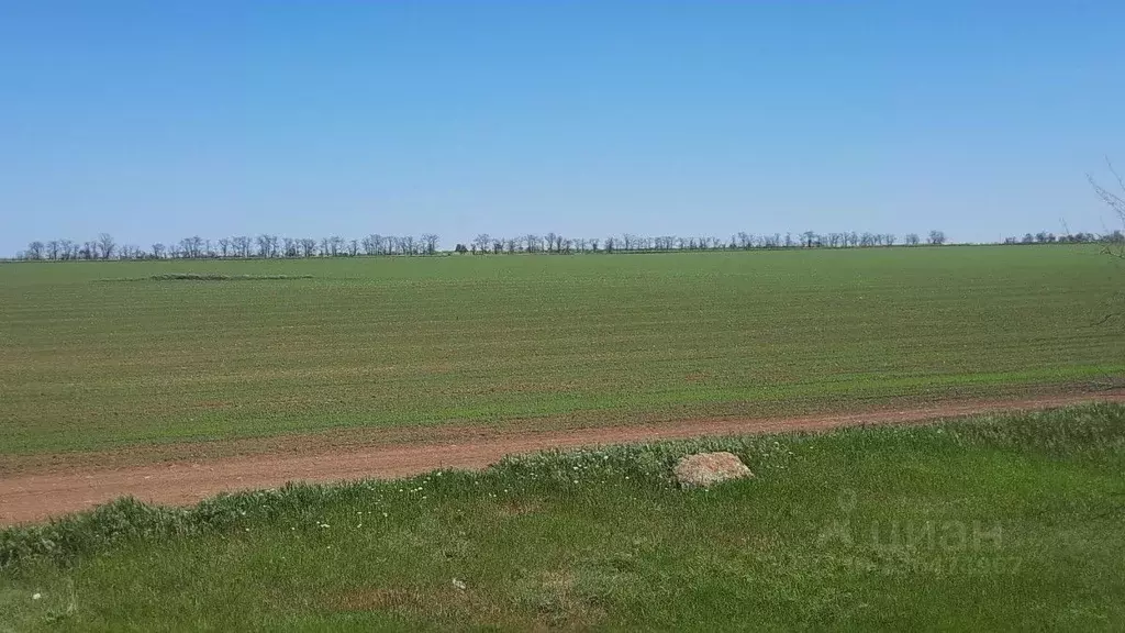 Участок в Крым, Сакский район, с. Кольцово ул. Новые Черемушки (92.69 ... - Фото 1