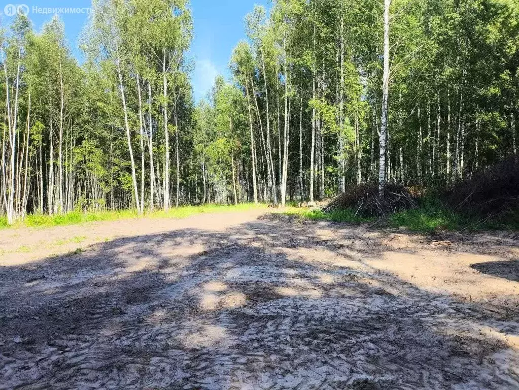 Участок в Нижегородская область, Кстовский муниципальный округ, село ... - Фото 0