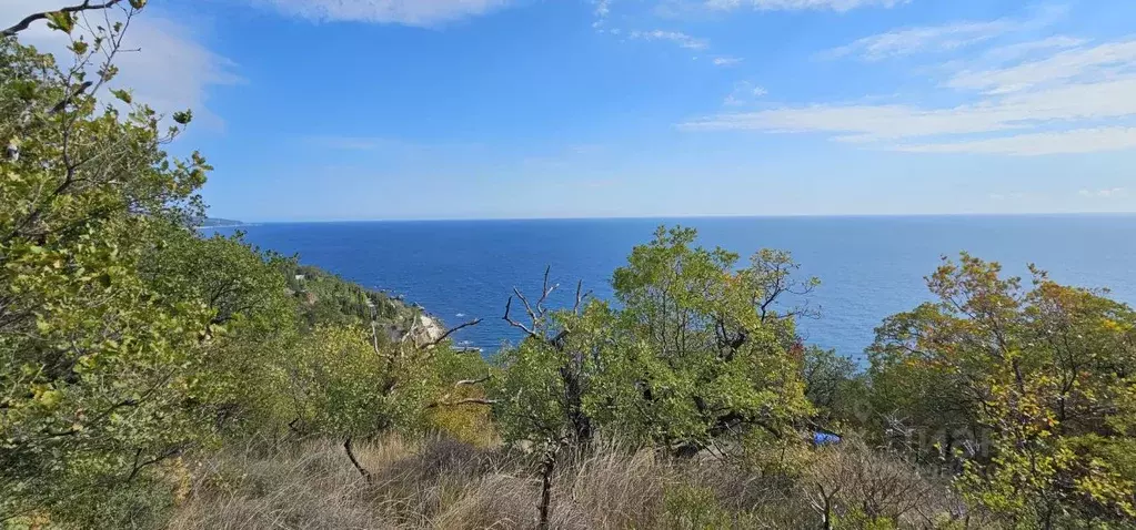 Участок в Крым, Ялта муниципальный округ, Санаторное пгт ул. Гагарина, ... - Фото 1