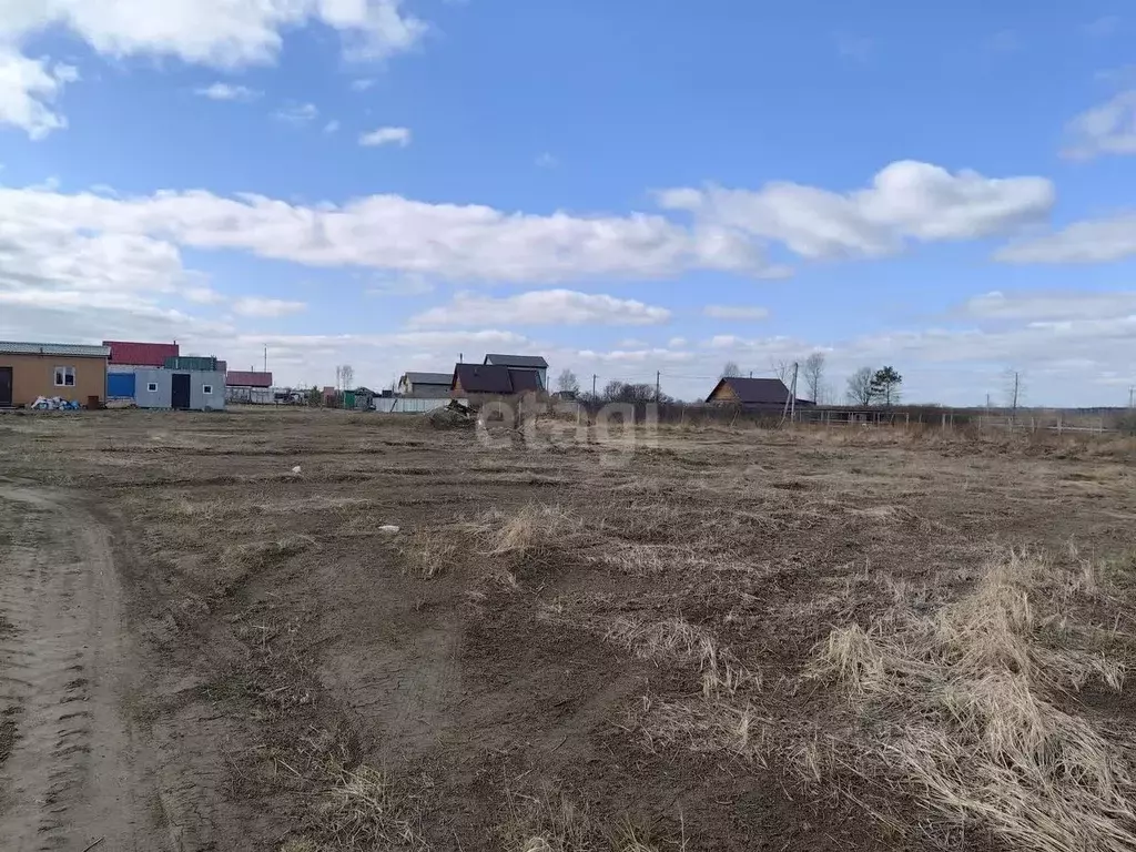 Участок в Новосибирская область, Новосибирский район, Кудряшовский ... - Фото 0