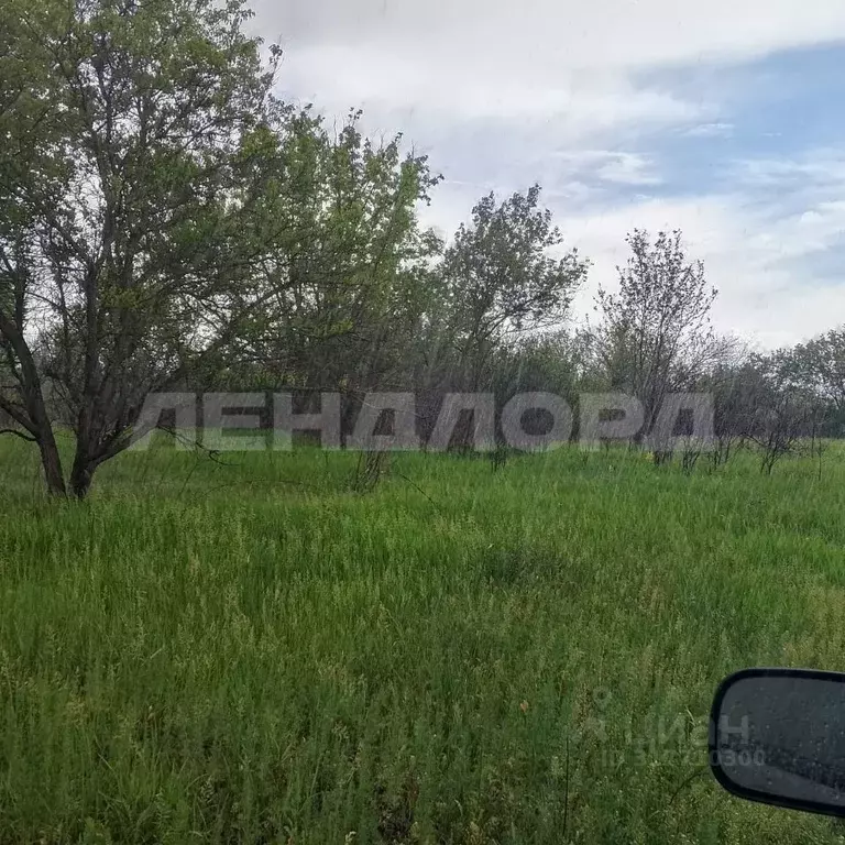 Участок в Ростовская область, Новочеркасск Виноградная Лоза СНТ,  (6.6 ... - Фото 1