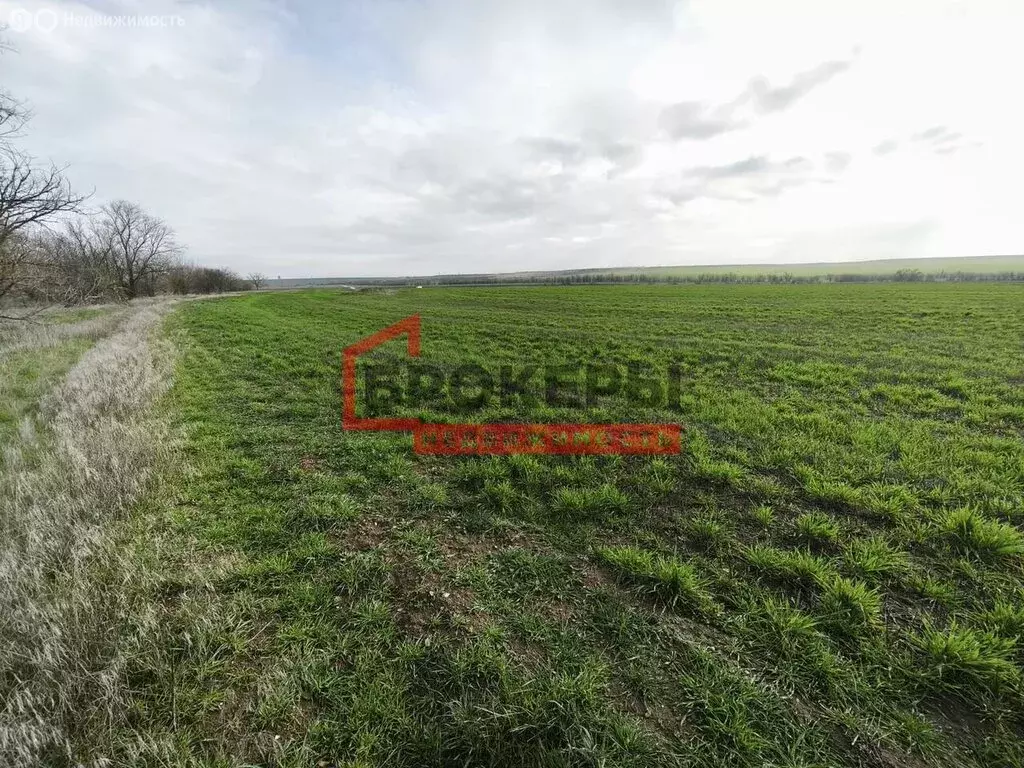 Участок в Сакский район, Ивановское сельское поселение, село ... - Фото 2