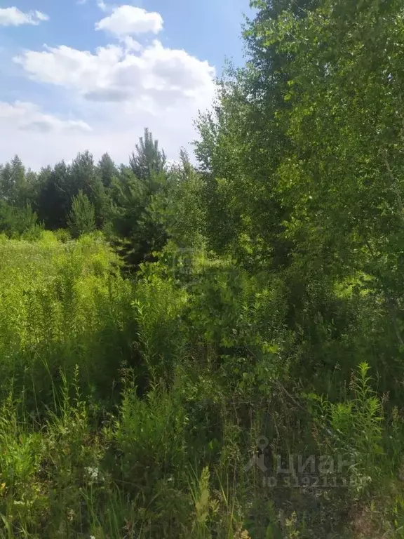 Участок в Владимирская область, Суздальский район, Боголюбовское ... - Фото 1