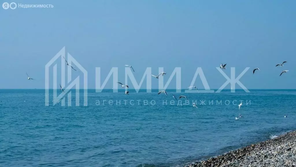 2-комнатная квартира: Сириус, Таврическая улица, 7к4 (36 м) - Фото 0