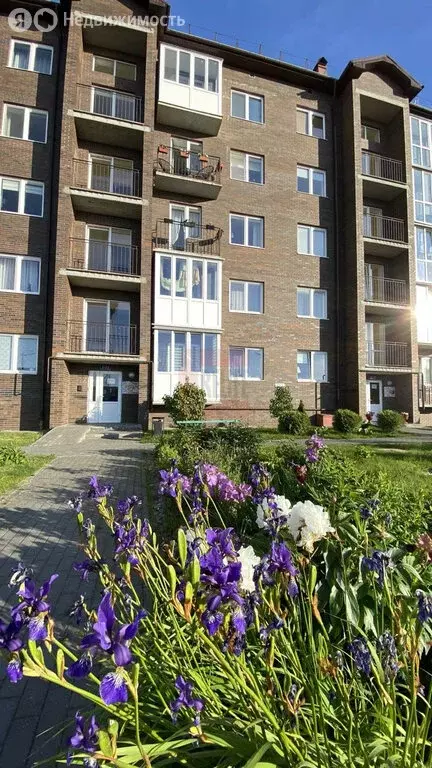 1-комнатная квартира: Пионерский, Рабочая улица, 48Б (27.1 м) - Фото 1