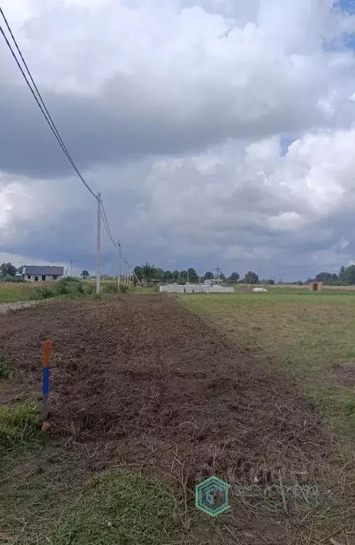 Участок в Калининградская область, Гурьевский муниципальный округ, ... - Фото 1