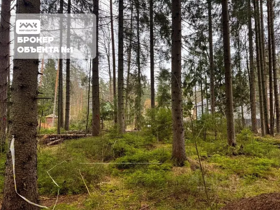 Участок в Санкт-Петербург, Санкт-Петербург, Зеленогорск ул. 2-я Лесная ... - Фото 0