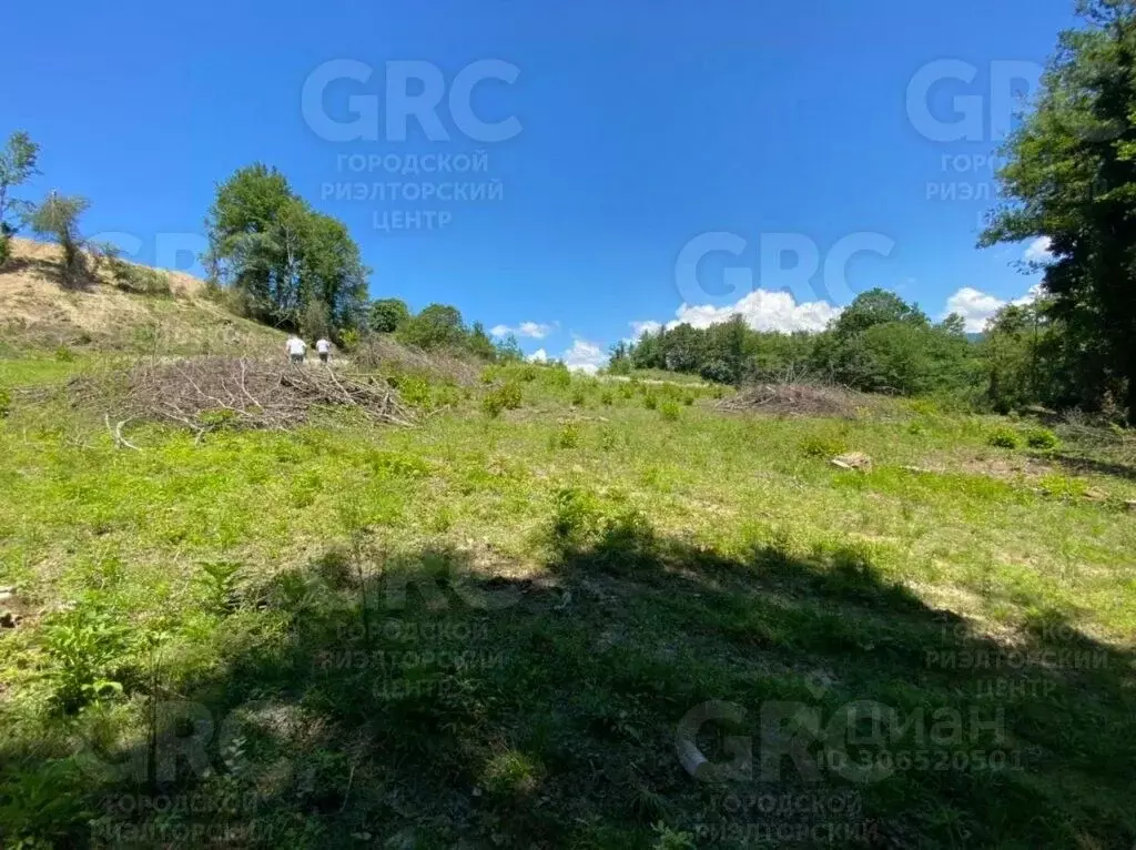 Участок в Краснодарский край, Сочи городской округ, с. Калиновое Озеро ... - Фото 1