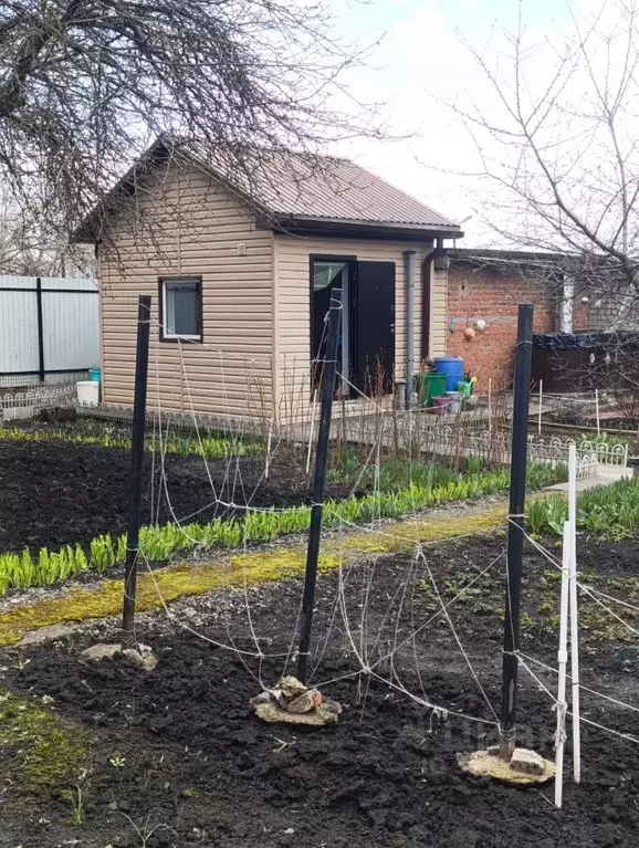 Дом в Белгородская область, Строитель Яковлевский городской округ, ... - Фото 2