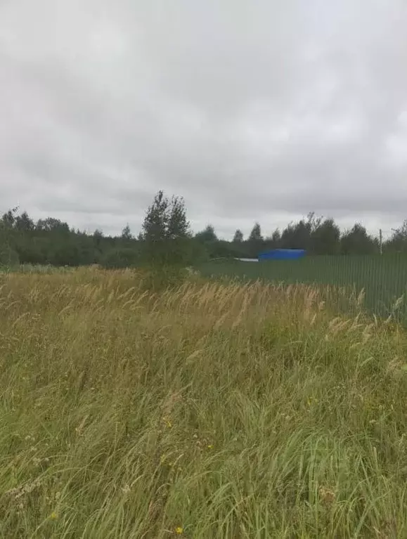 Участок в Московская область, Коломна городской округ, с. Нижнее ... - Фото 1