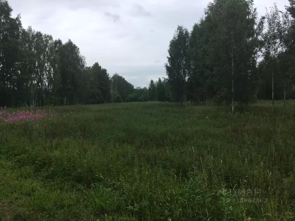 Участок в Владимирская область, Камешковский муниципальный округ, ... - Фото 2