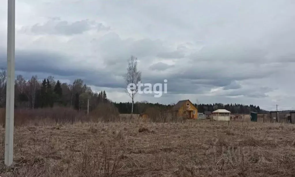 Участок в Ленинградская область, Ломоносовский район, Лопухинское ... - Фото 0