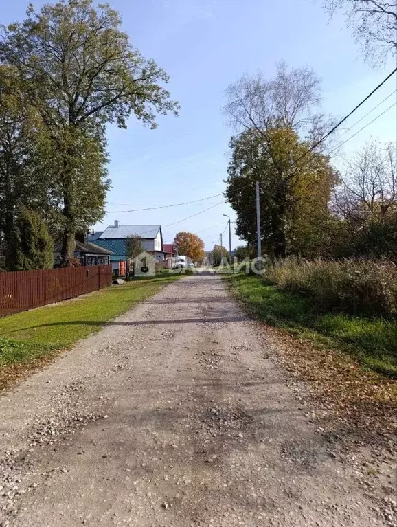 Участок в Владимирская область, Кольчугино муниципальное образование, ... - Фото 1