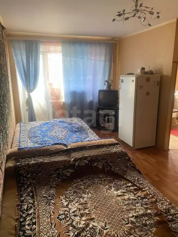 1-к кв. Челябинская область, Южноуральск ул. Мира, 41 (30.8 м) - Фото 1