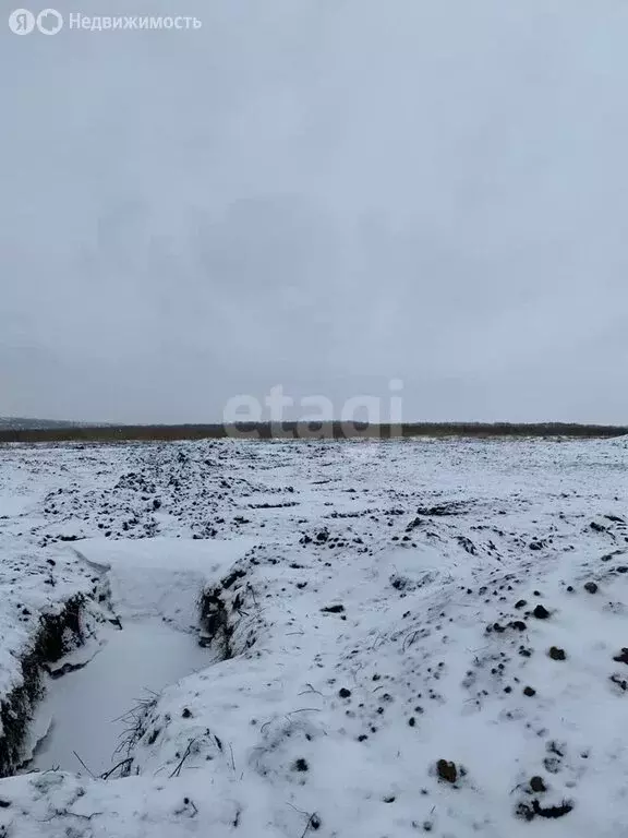 Участок в Белгородский район, Головинское сельское поселение, село ... - Фото 0