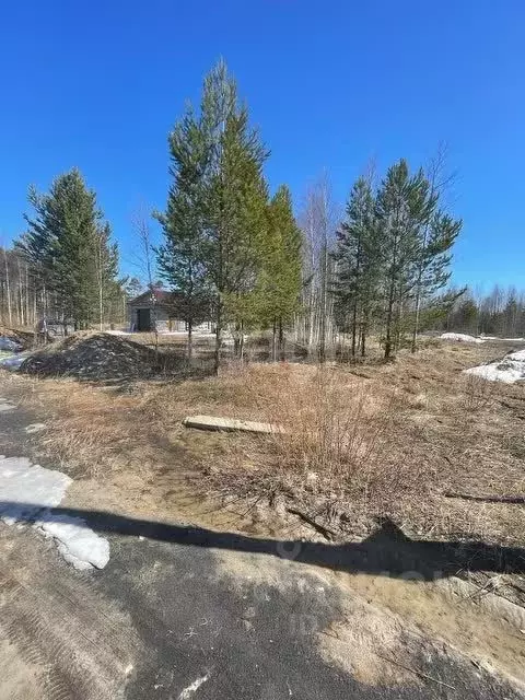 Участок в Ханты-Мансийский АО, Сургутский район, Солнечный с/пос, ... - Фото 0