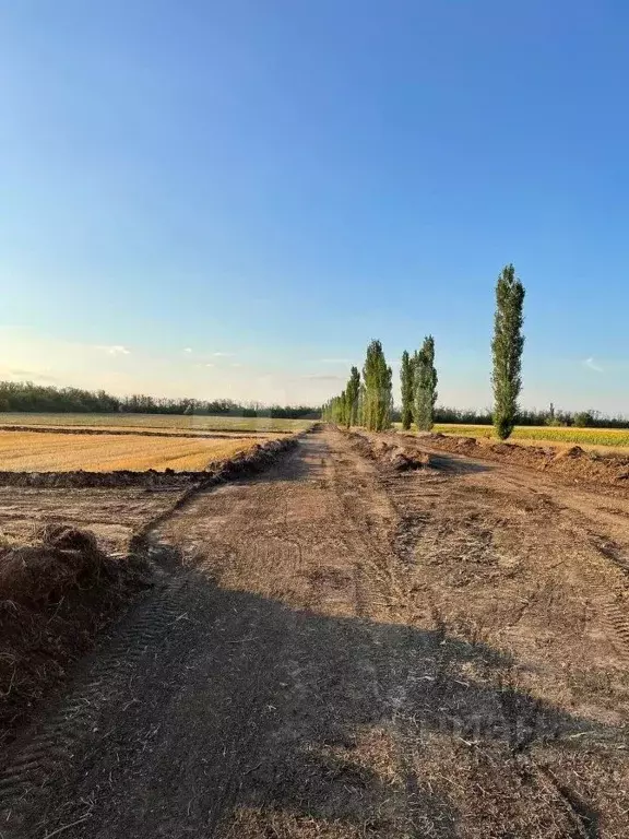 Участок в Ростовская область, Аксайский район, Щепкинское с/пос, пос. ... - Фото 2