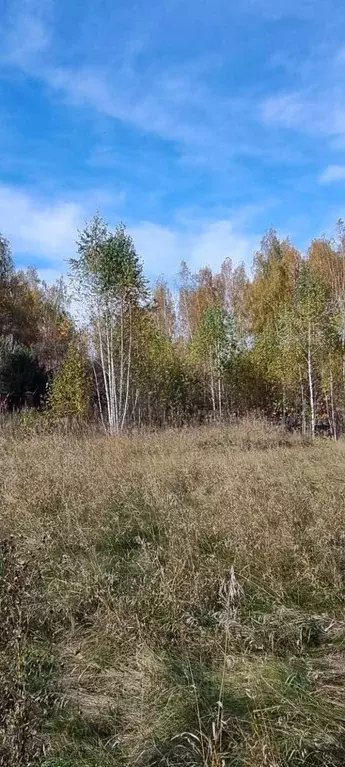 Участок в Челябинская область, Верхнеуральский район, Кирсинское ... - Фото 1