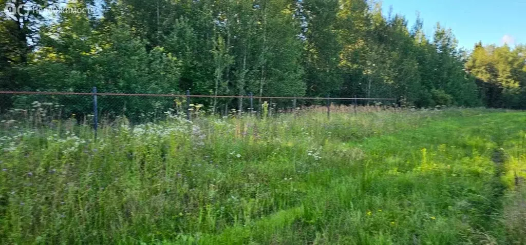 Участок в Московская область, муниципальный округ Истра, деревня ... - Фото 1