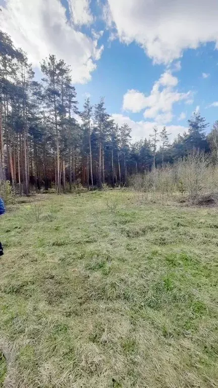 Участок в Свердловская область, Полевской городской округ, с. Косой ... - Фото 1