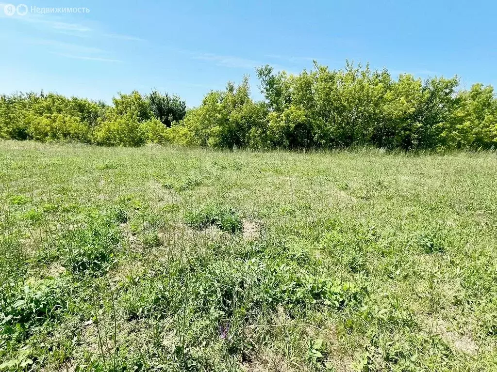 Участок в Саратовская область, Вольск (6.5 м) - Фото 1