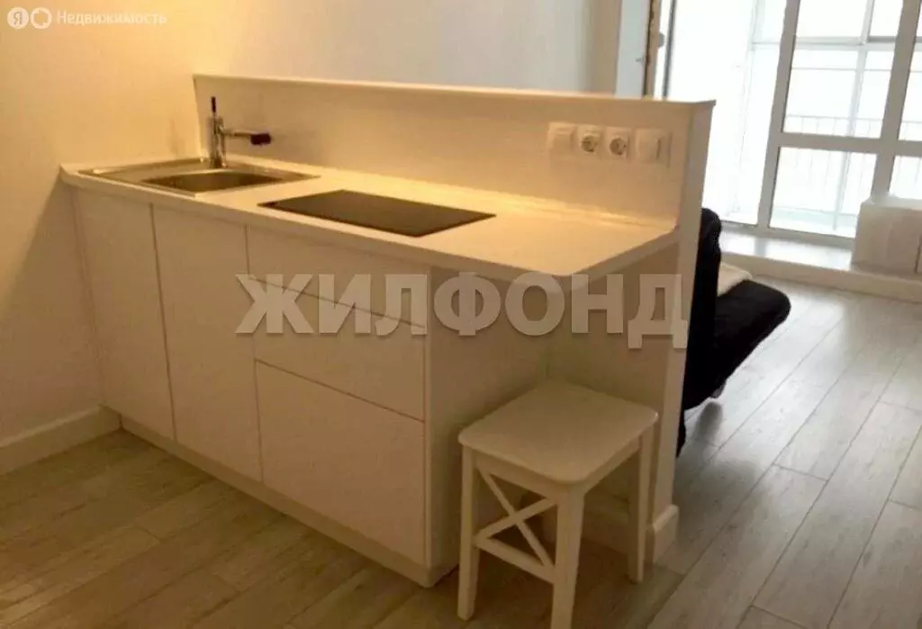 1-комнатная квартира: Новосибирск, Кубовая улица, 115/1 (20.8 м) - Фото 0