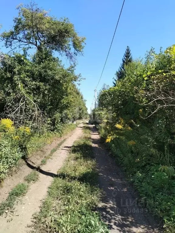 Участок в Воронежская область, Воронеж Коминтерновец-1 ДНТ, 8-я линия ... - Фото 0