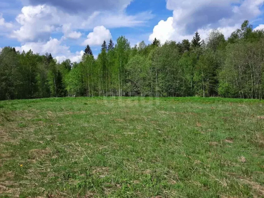 Участок в Ленинградская область, Приозерский район, Красноозерное ... - Фото 0