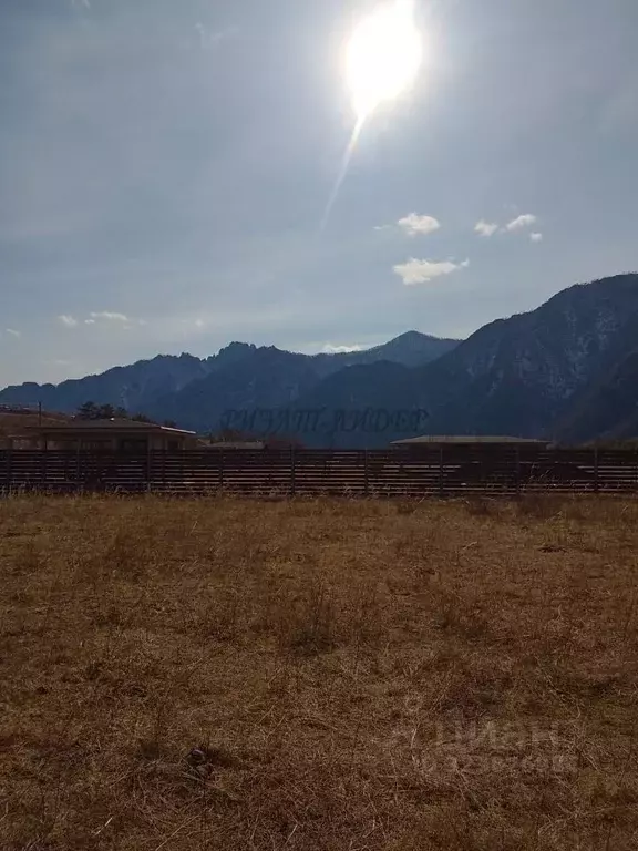 Участок в Алтай, Чемальский район, с. Куюс Центральная ул. (12.0 сот.) - Фото 2