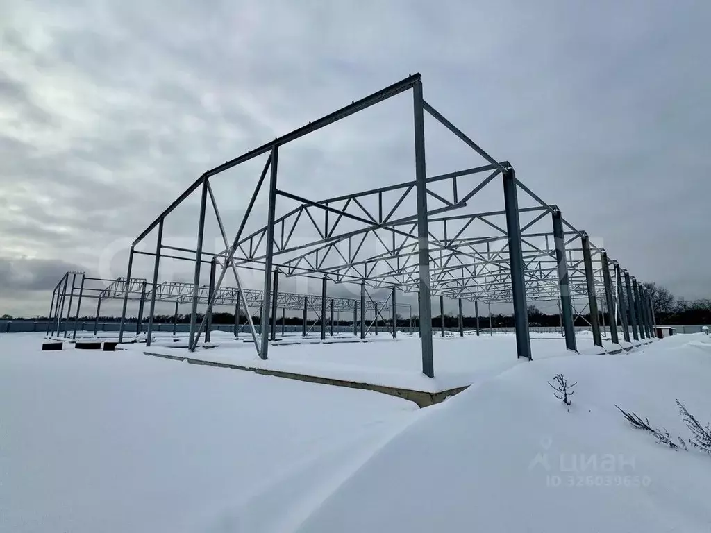 Склад в Московская область, Богородский городской округ, д. Большое ... - Фото 2