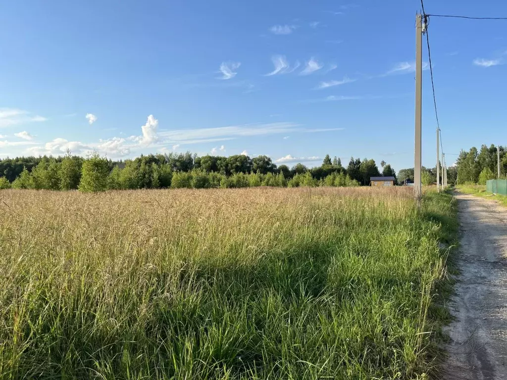 Участок в Ярославская область, Ярославский муниципальный округ, д. ... - Фото 2