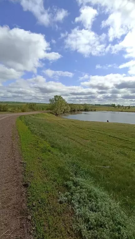 Дом в Башкортостан, Чекмагушевский район, Имянликулевский сельсовет, ... - Фото 0