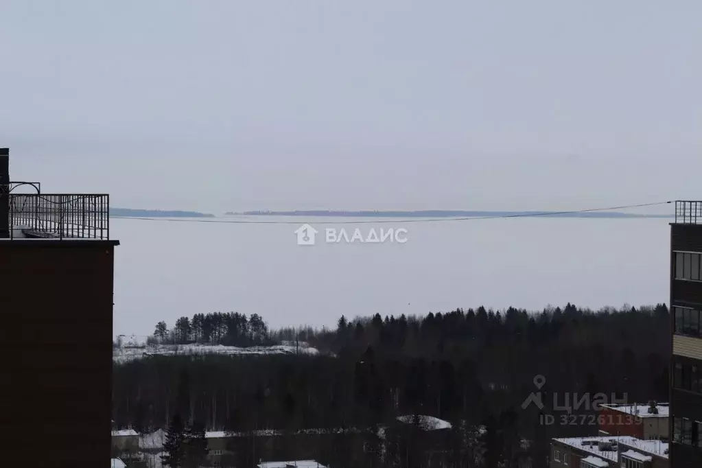 1-к кв. Карелия, Петрозаводск ул. Петрова, 19 (33.8 м) - Фото 2